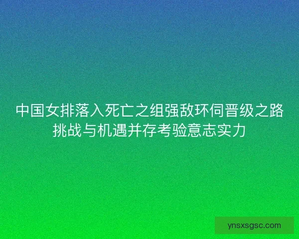 中国女排落入死亡之组强敌环伺晋级之路挑战与机遇并存考验意志实力