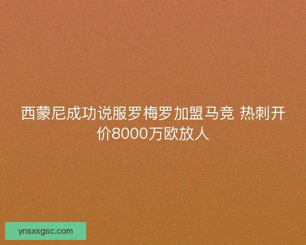 西蒙尼成功说服罗梅罗加盟马竞 热刺开价8000万欧放人