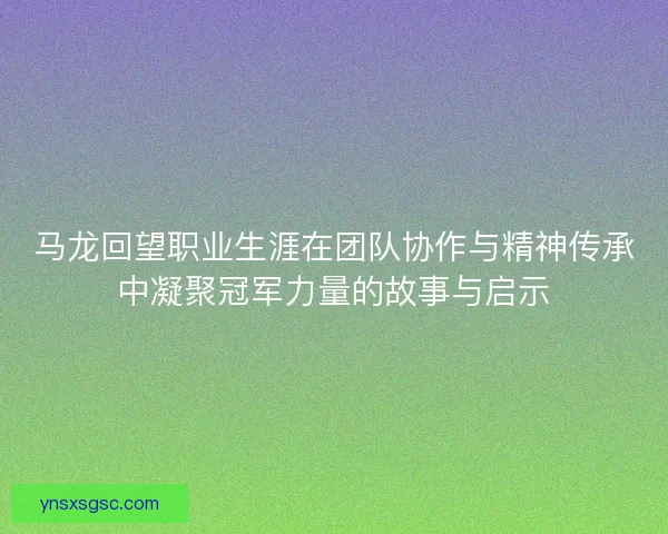 马龙回望职业生涯在团队协作与精神传承中凝聚冠军力量的故事与启示